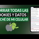 Borrar Cookies y Caché en Android: Guía Práctica
