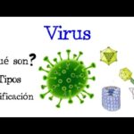 Clases de virus: ¿Cuántas hay y cuáles son?