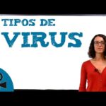 Tipos de virus: Descubre cuáles existen